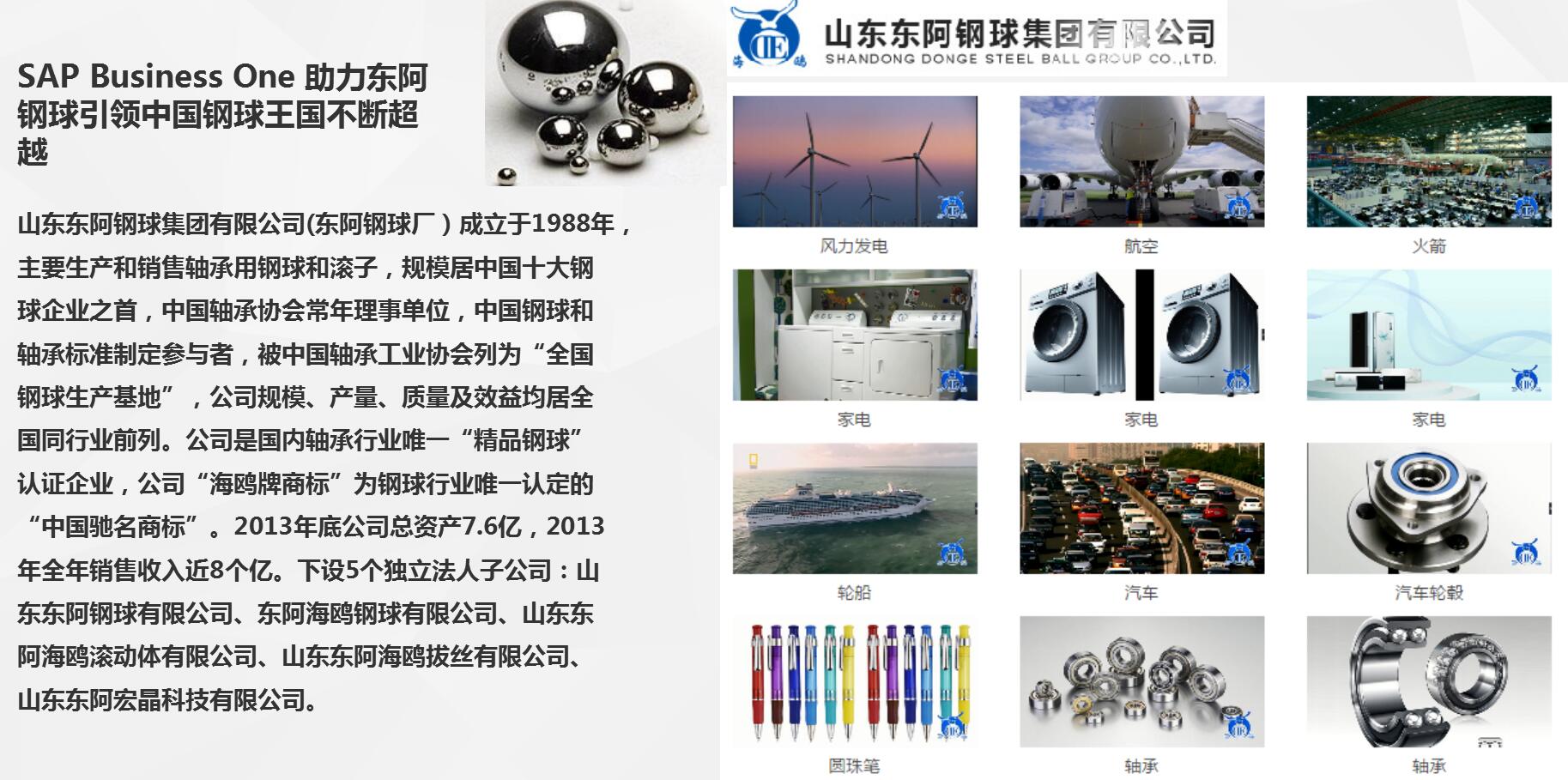 SAP鋼球行業成功案例